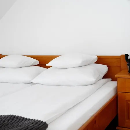Apartamenty U Trebuniow Suche Exterior photo