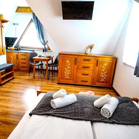 Apartamenty U Trebuniow Suche Exterior photo